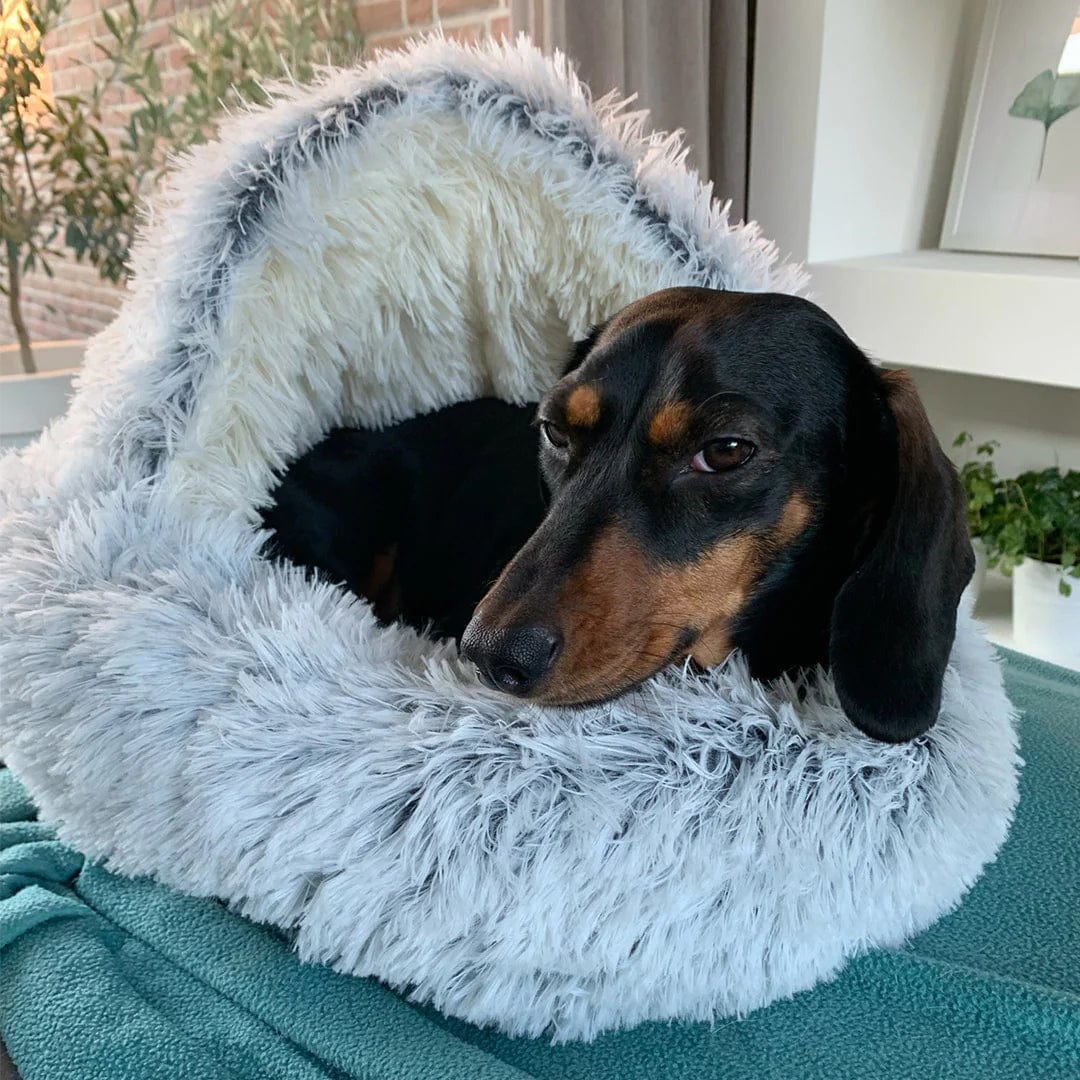 CozyNook Plush Fluffy - Round Bed for Dogs and Cats